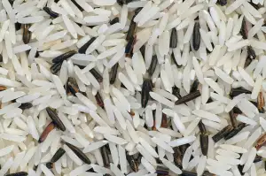 Rozdíl Mezi Basmati A Jasmínovou Rýží